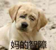 一组搞笑傻狗逗比眼神表情包狗子你变了