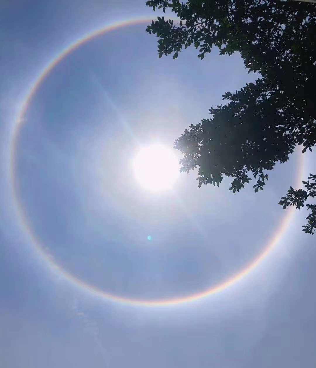 原创太震撼了美呆了全国多地上演日晕奇观朋友圈都要炸锅了