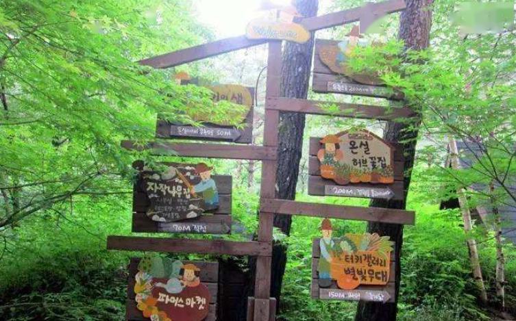 农场中最容易忽视的"环节",做好了吸粉无数