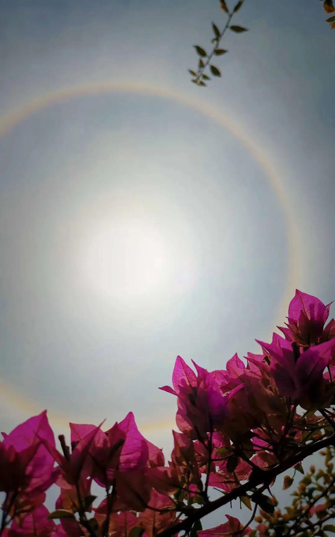 胡司令天上这东西怎么看起来像个眼球啊