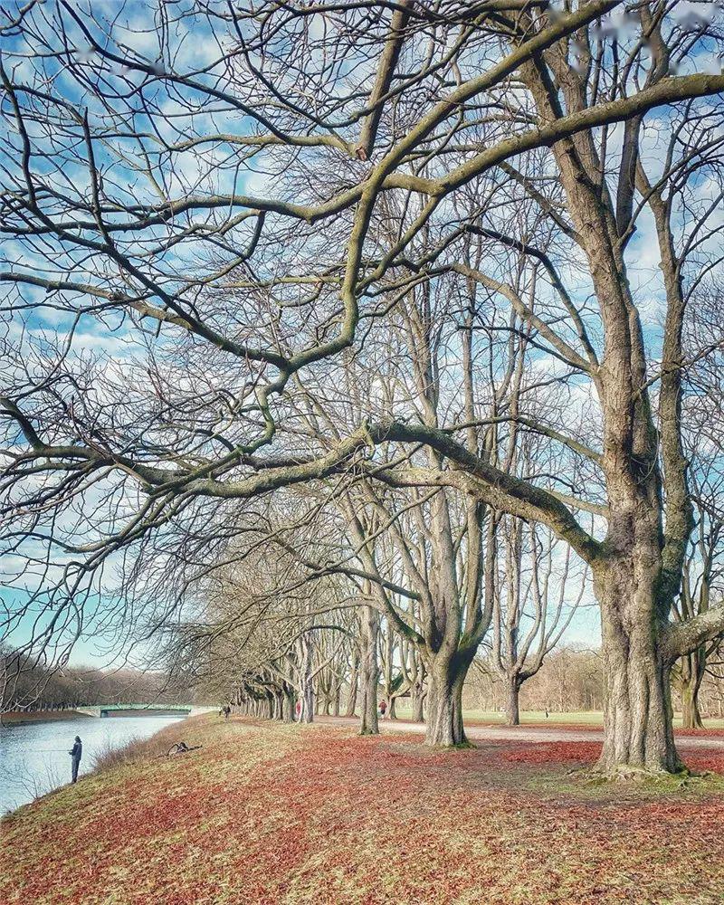 美國大提頓國家公園美國俄勒岡海岸緬甸茵萊湖日本岡山蒜山高原日本