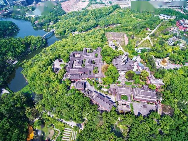 鸟瞰九龙坡