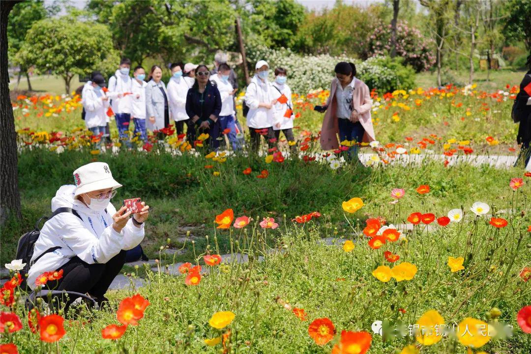 援鄂勇士踏青赏花徜徉在锡山美景中享受静美时光