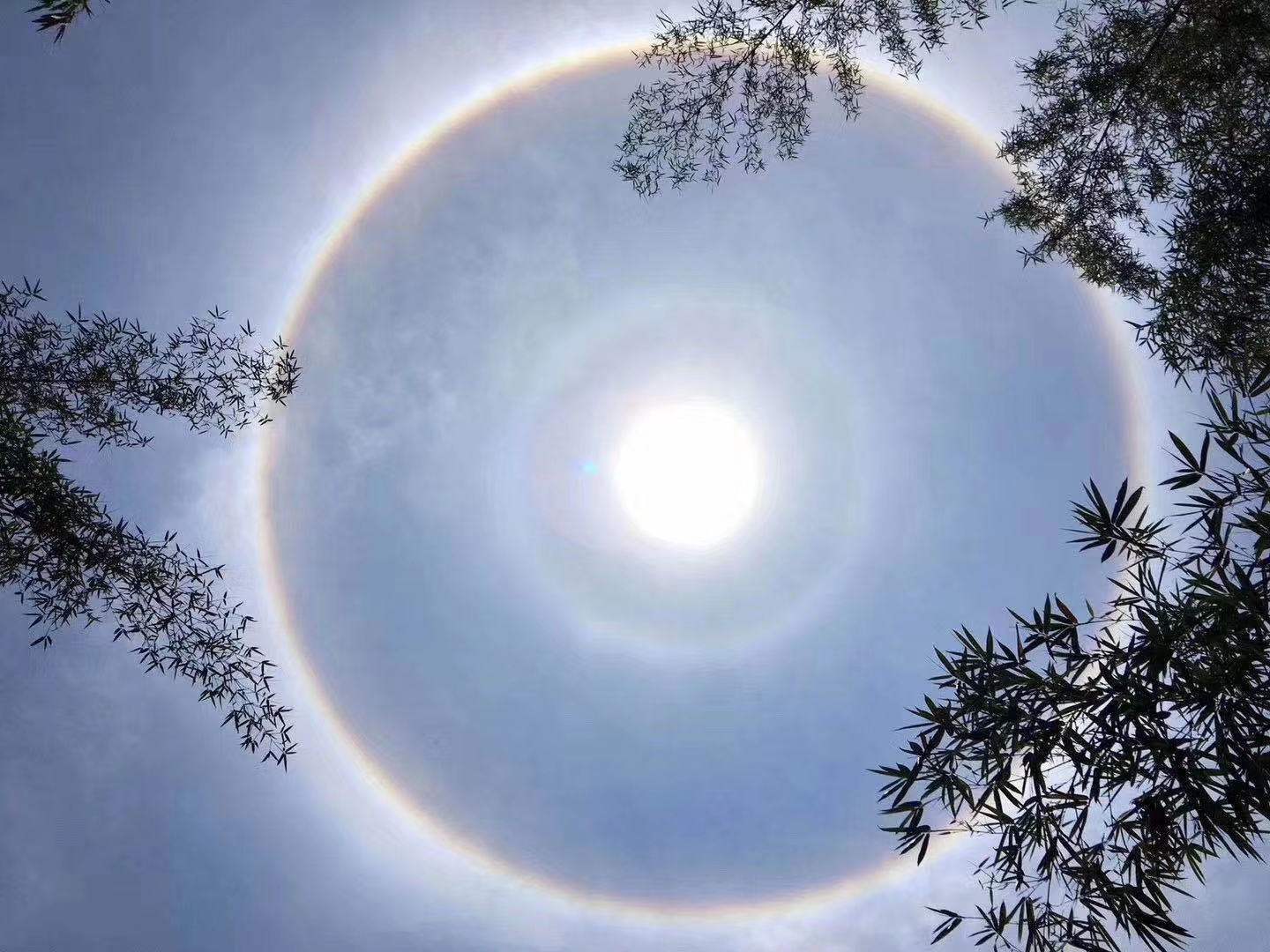 原创太震撼了美呆了全国多地上演日晕奇观朋友圈都要炸锅了