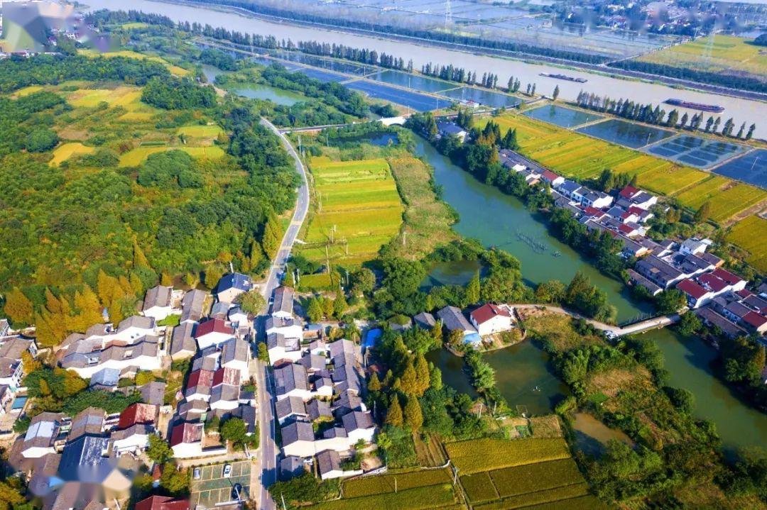 就在明天菰城文化旅游节开幕啦邀你春游千年菰城