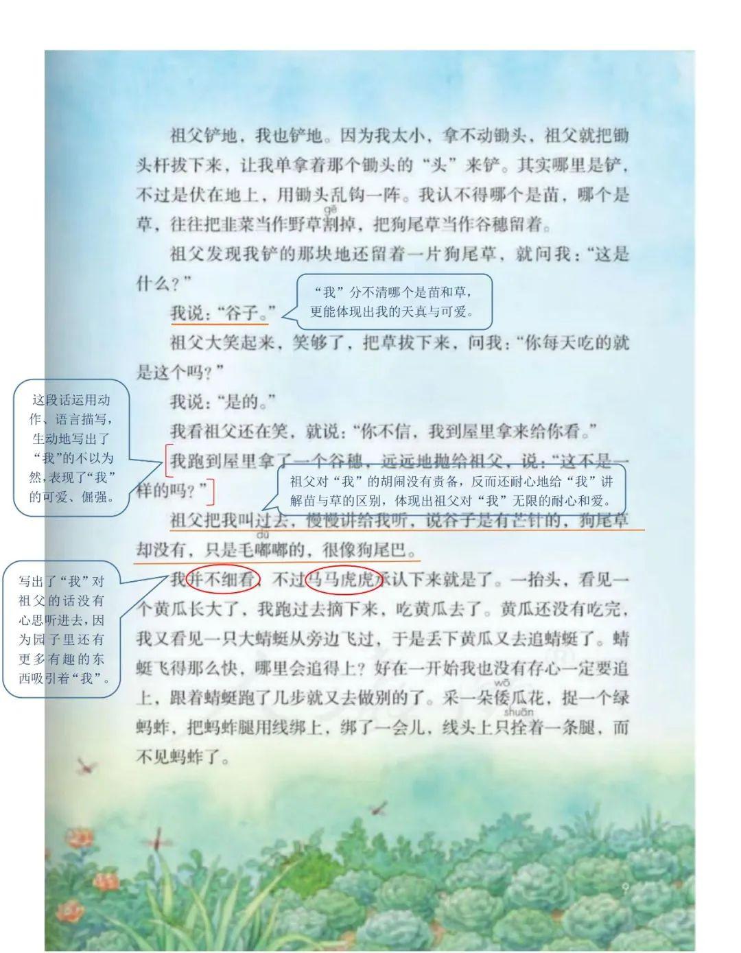 可下载打印|统编版语文五年级下册课堂笔记