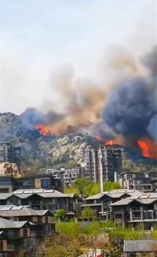 青岛小珠山山火肆虐,杜鹃花没了还可以再开,人一定注意安全