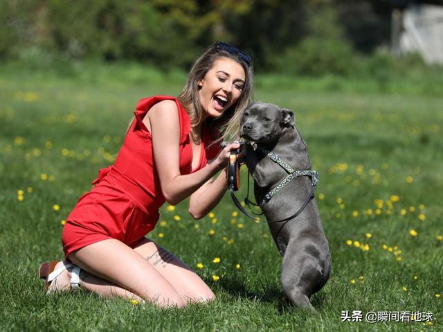 克洛伊维奇与宠物互动超软萌