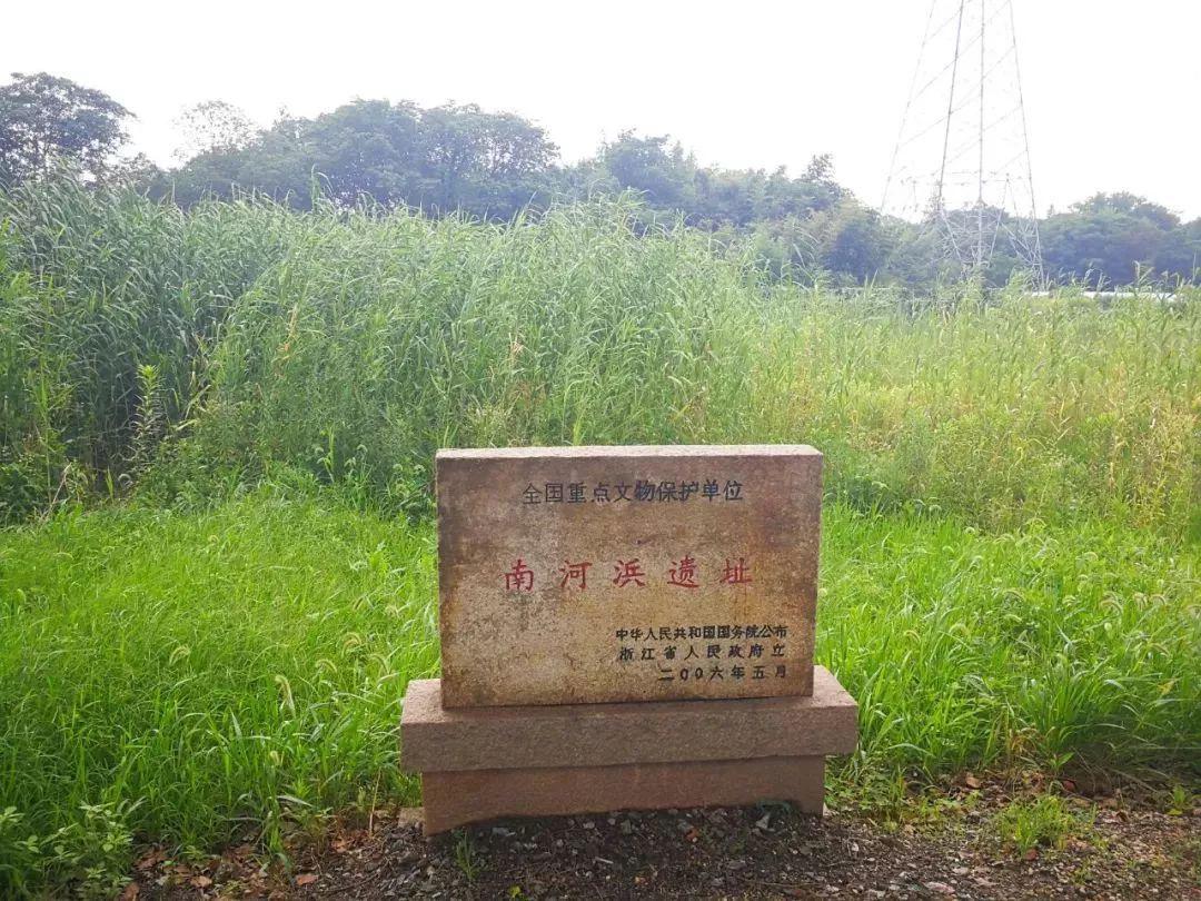 "胥山松涛"这一嘉禾胜景,让胥山遗址文化公园成为嘉兴人民凭吊先古