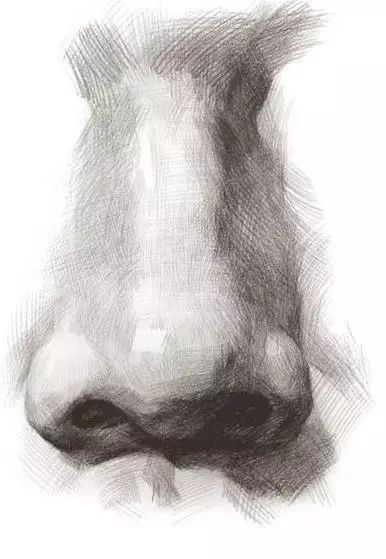 全面解析素描鼻子的画法