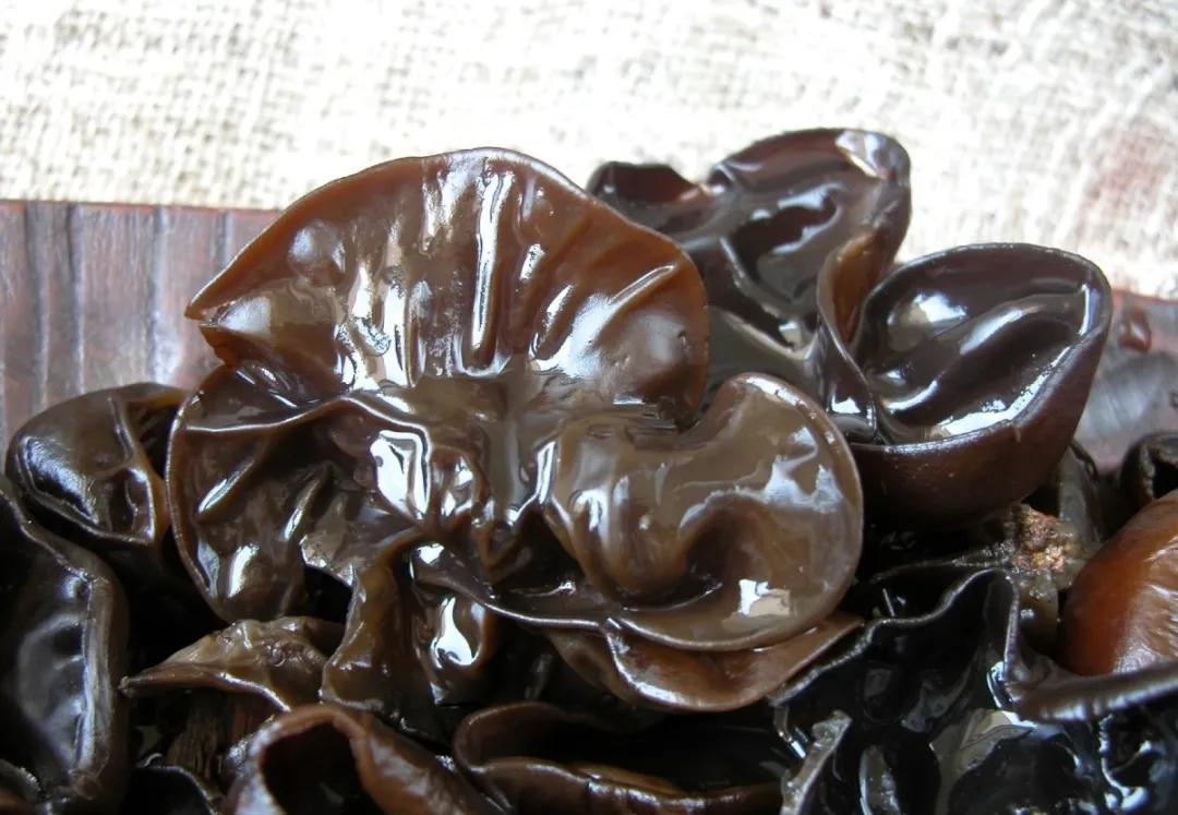 湿木耳干木耳生在这里,"我"就能长得圆润饱满,色泽黑褐,湿润时"我"是