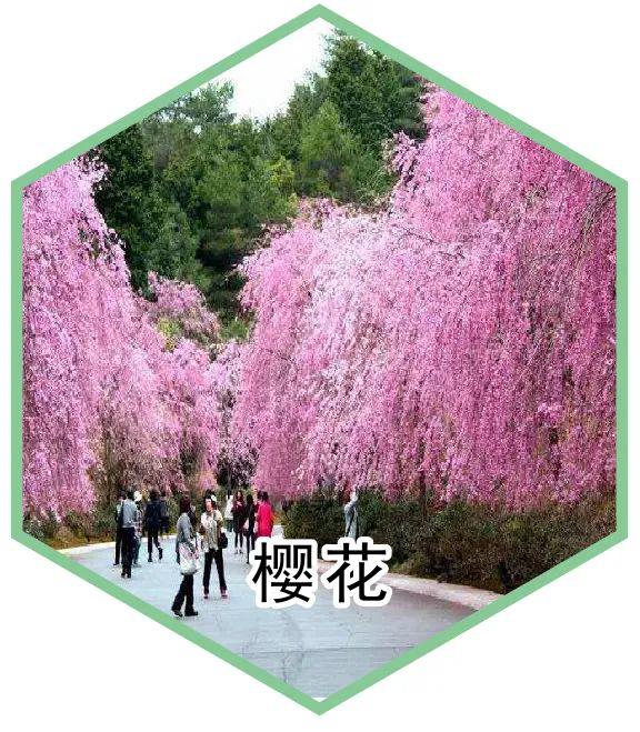 重磅福利:慧科生态园五一门票免费送!真的!快来!