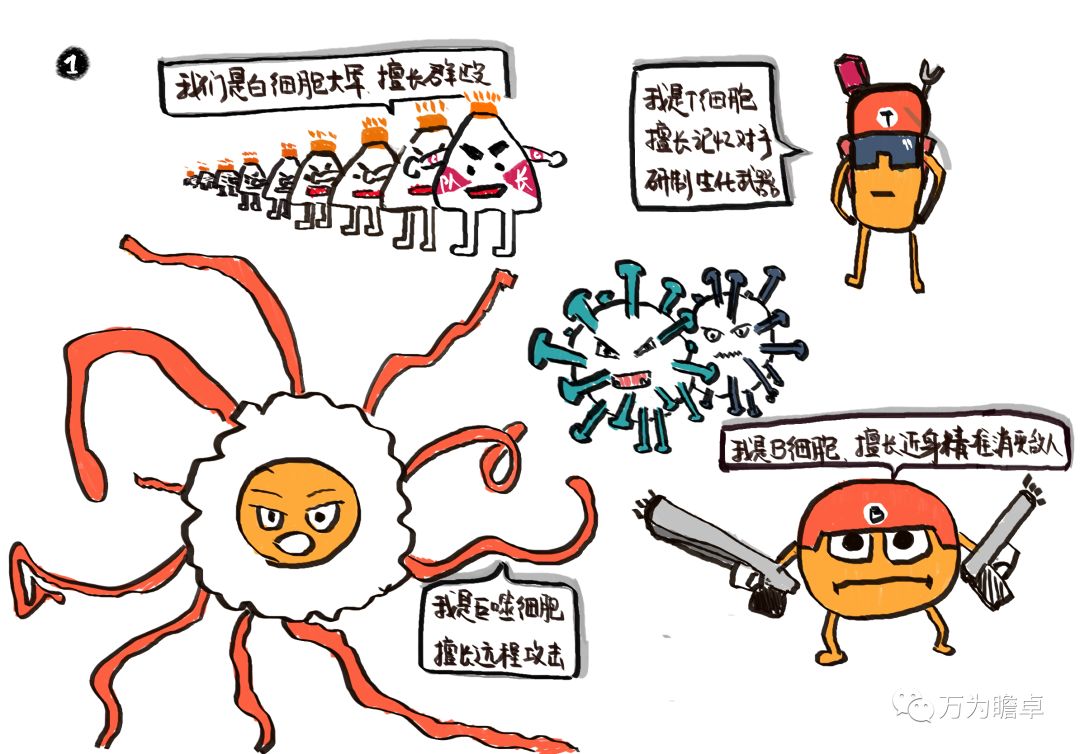 为了保卫人体健康,各种免疫细胞会在病原微生物入侵时自动按照各自