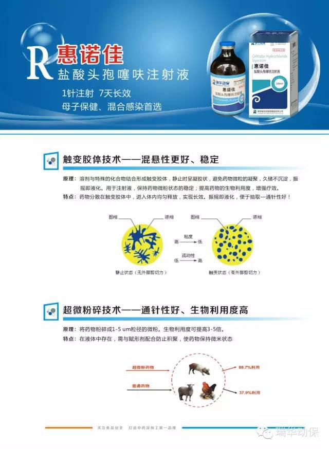 惠诺佳你绝对值得拥有