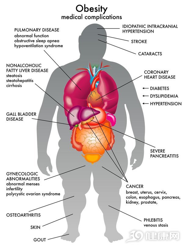 如何判断自己是否肥胖bmi指数超过这个值就该减肥了