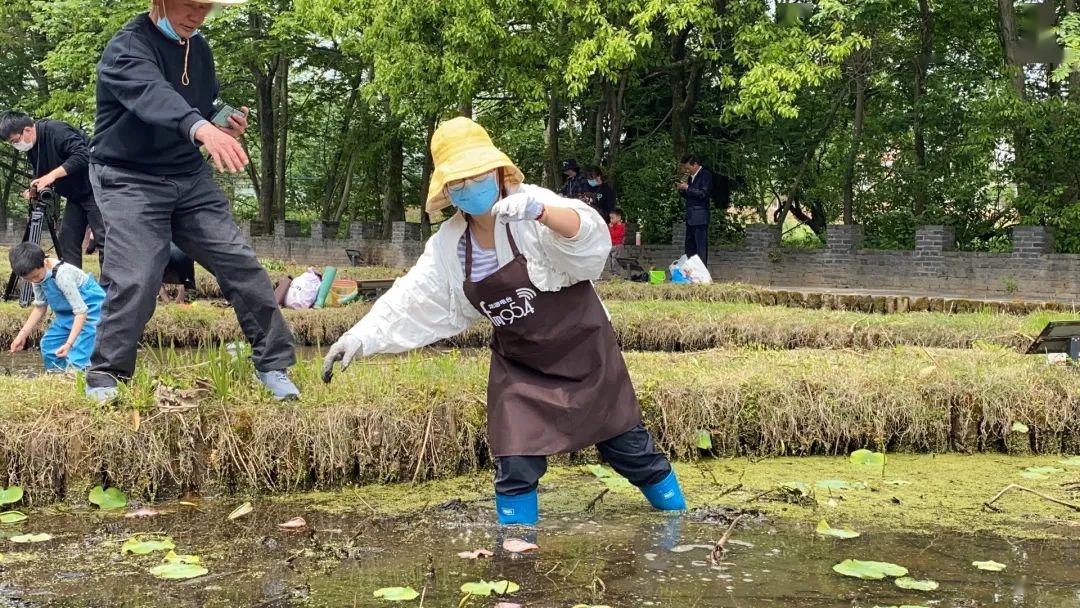 脱鞋下田图片