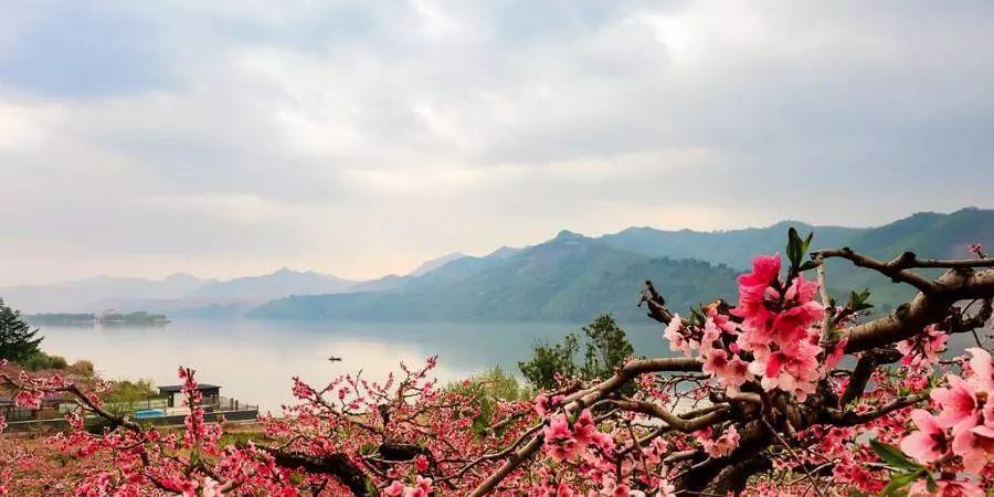 还在回味三生三世十里桃花那感人的场景么?