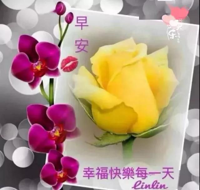 暖心的早安问候祝福语动态图片,最美早安祝福语动态美图