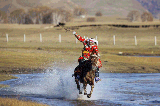 639_425gif 动态图 动图