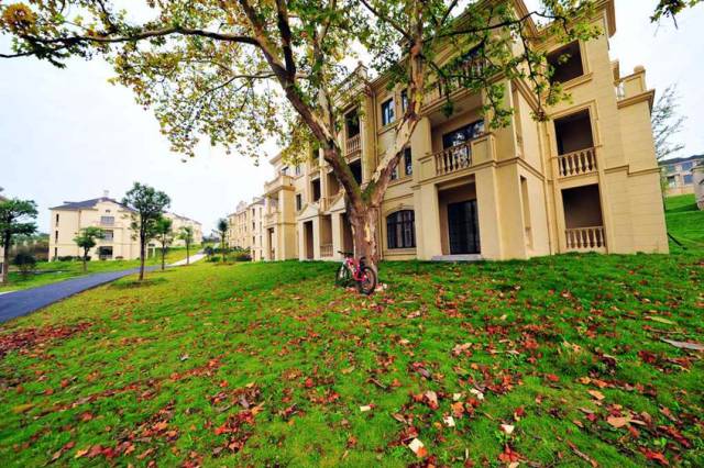 庐江国轩温泉宫御园独栋别墅体验一下皇家般的奢华