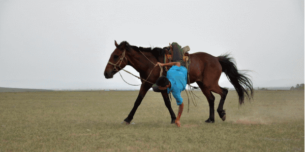 600_300gif 动态图 动图