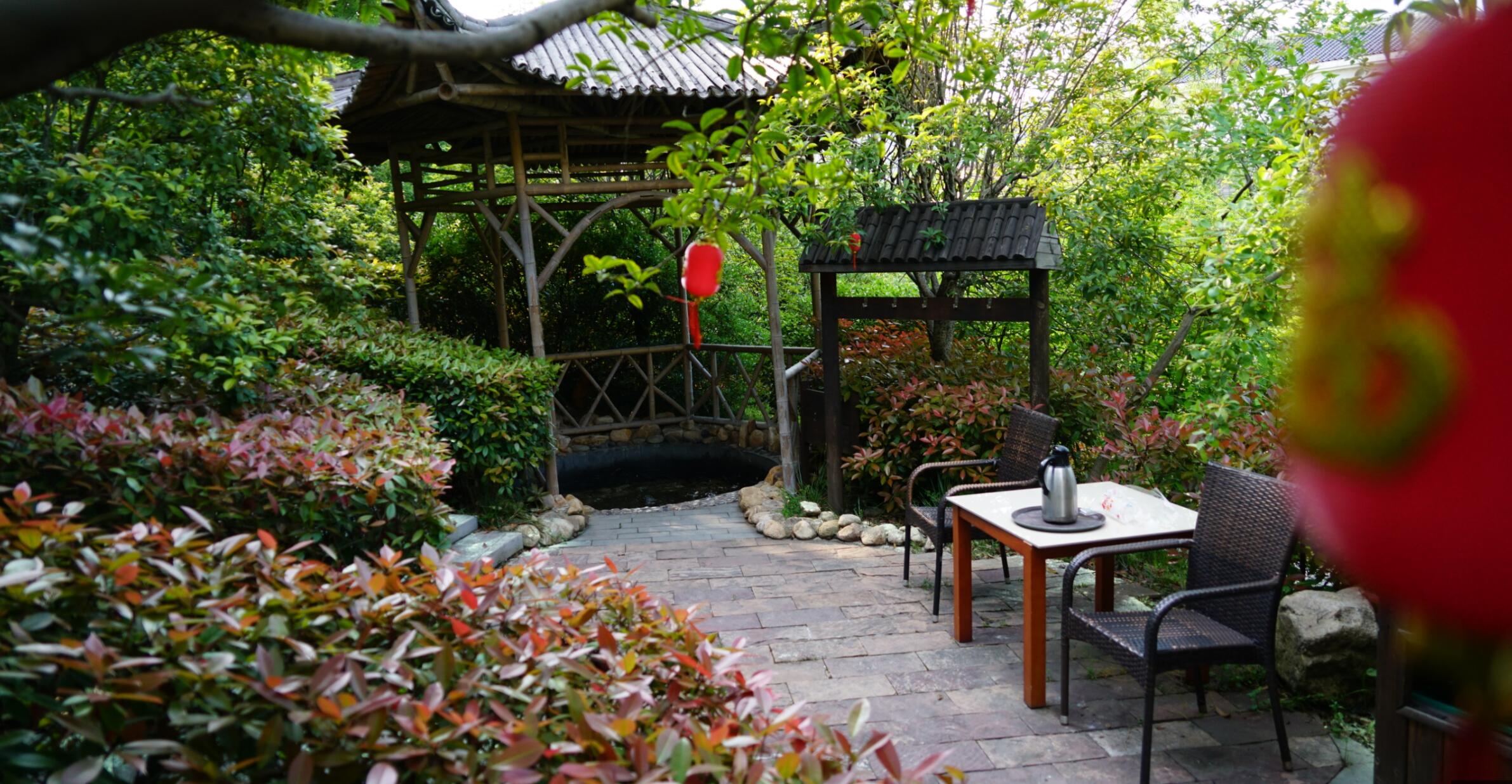 五一打卡地——鸡公山依云森林温泉复工复产啦(含视频)