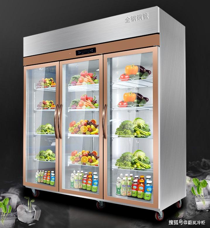 蔚岚冷柜,定格新鲜!