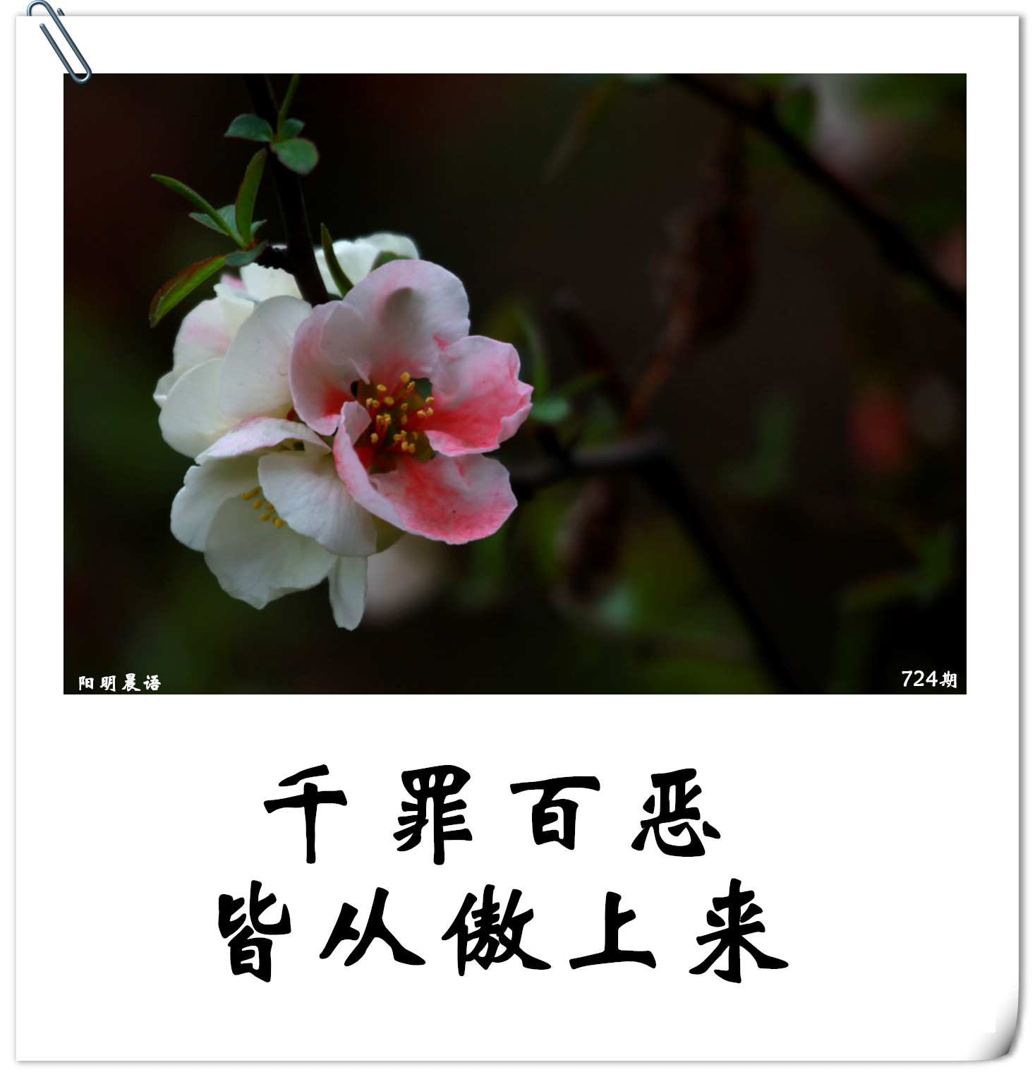 阳明晨语第724期