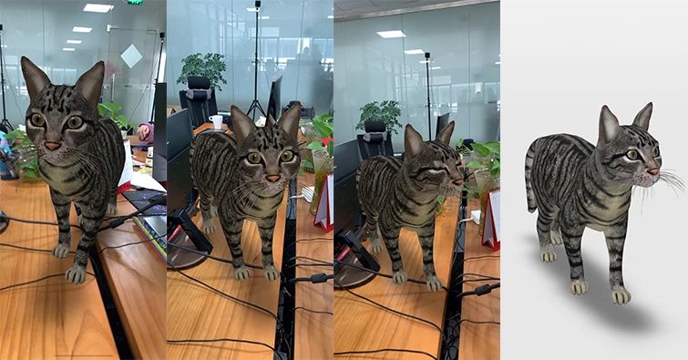 原创猫咪这种可爱的生物当然要用arvr看才最过瘾