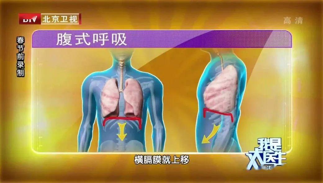 【腹式呼吸动作要领】吸气时肚子鼓起来,呼气时肚子缩回去,速度放缓