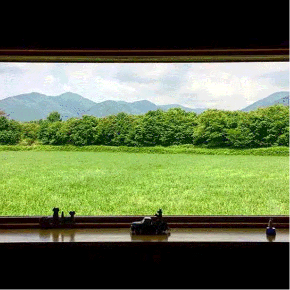 595_595gif 动态图 动图