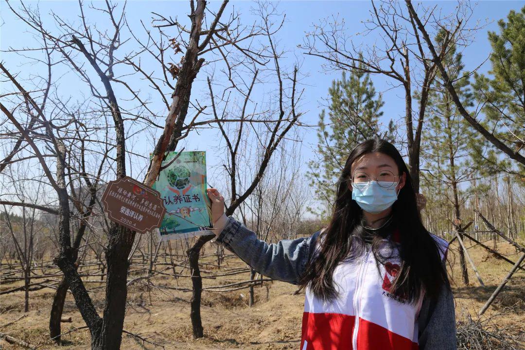 绿动黄河多彩志愿鄂野树木认种认养活动暨第二届李子花文化节活动圆满