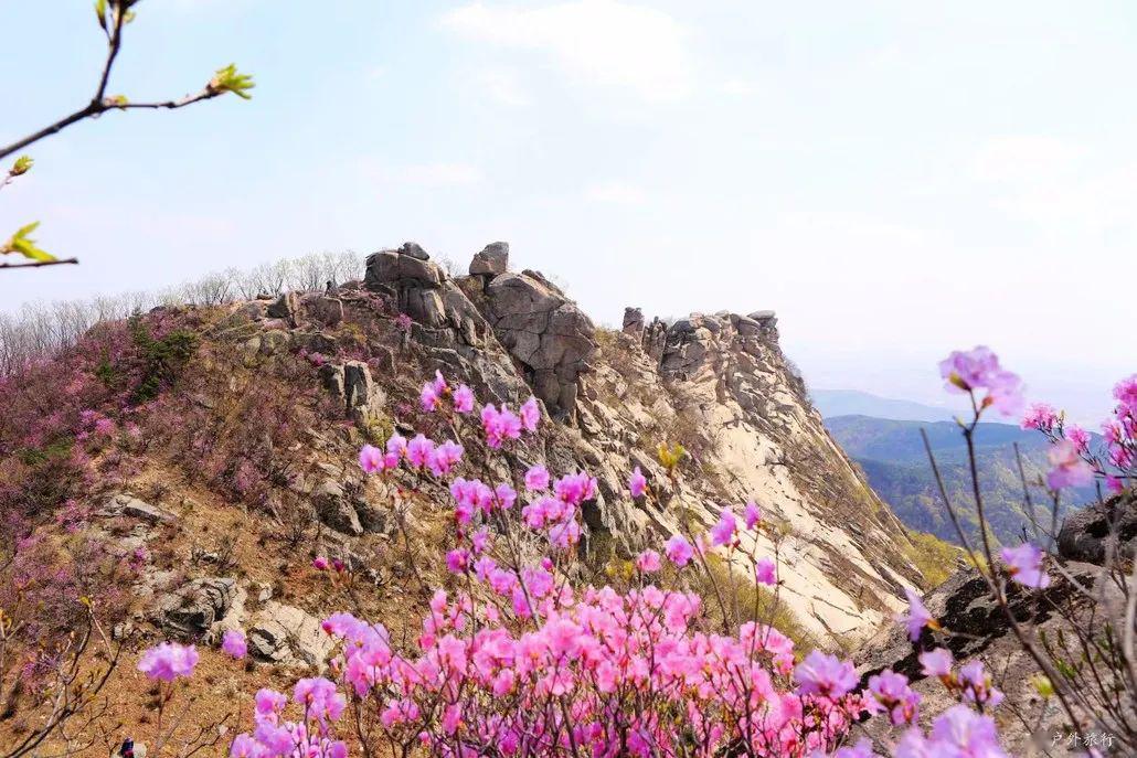 【近郊一天~5月1日】庄河歇马山:赏杜鹃,观奇山,膜拜让你脸红的