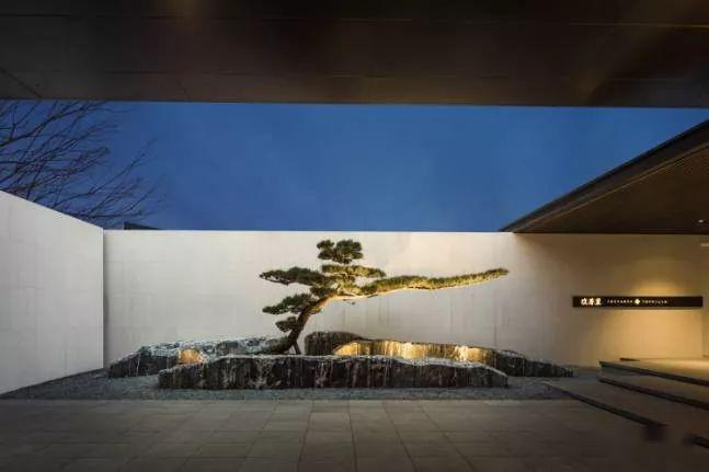 景观中的松石配