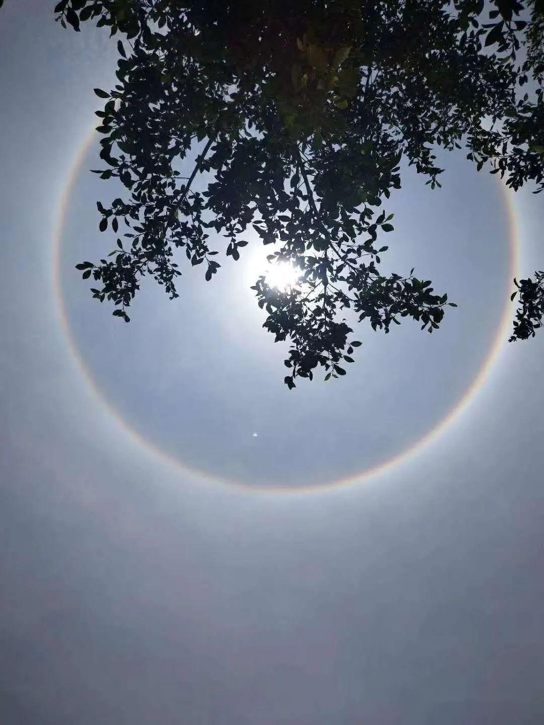 今天神奇的一幕船埔高埔大坪梅林云落等地方太阳出现自带光环