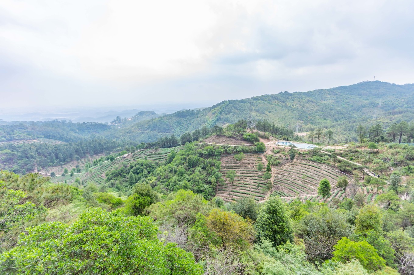 自驾游住进鹤山福朋喜来登酒店重走红星路