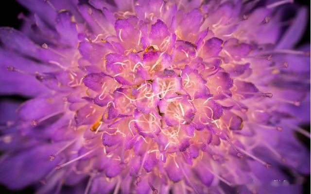 虚实对比在摄影中的运用