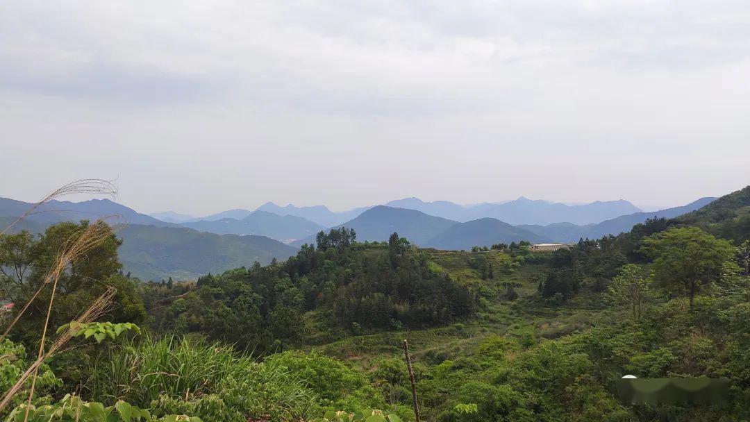 魁鬥紀行:佛仔格,鳳山_安溪