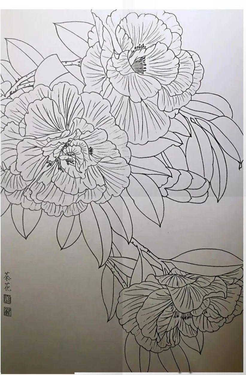工笔花卉以线为造型基础,运用毛笔勾线,对线条有严格的要求讲究用笔