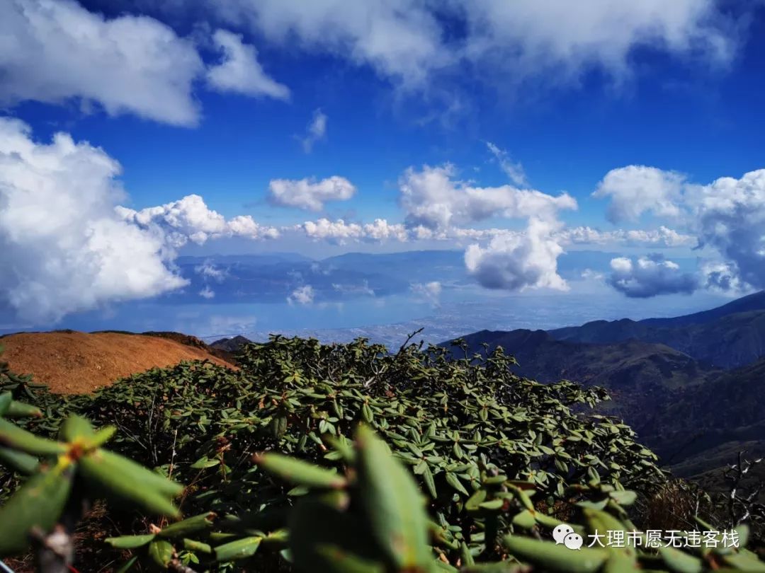 大理苍山徒步十九峰之莲花峰累并快乐着
