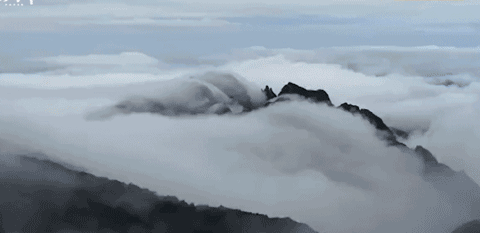 480_233gif 动态图 动图