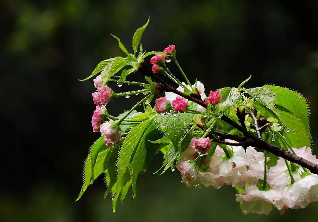 雷雨天气 注意防范