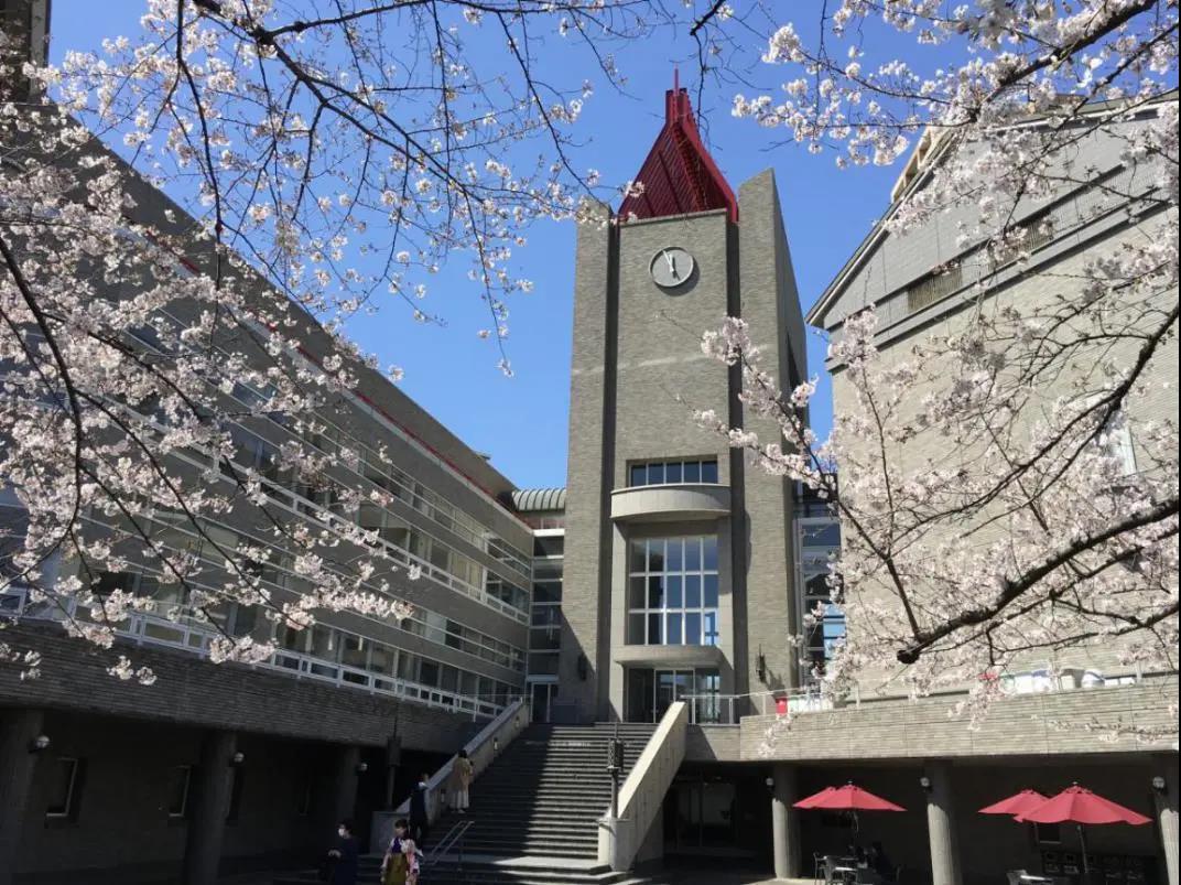 日本留学 | 这些国内学历不被日本学校承认!