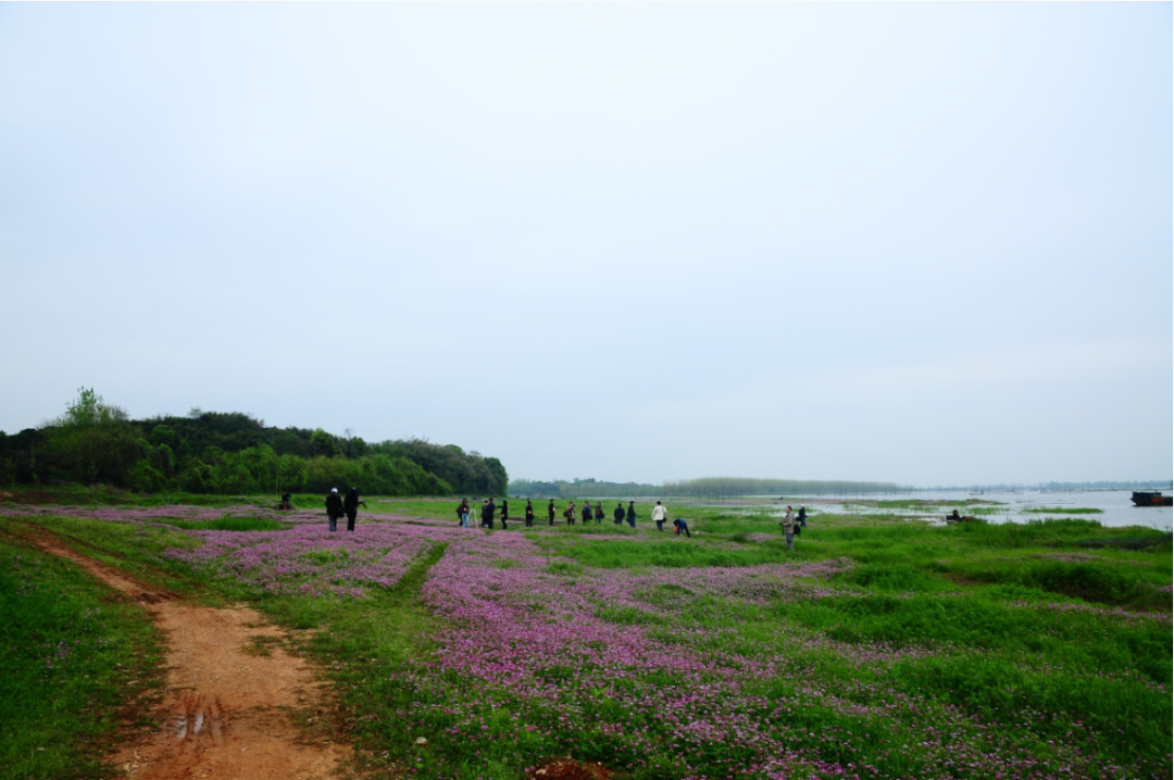 洞庭脊梁赤山岛