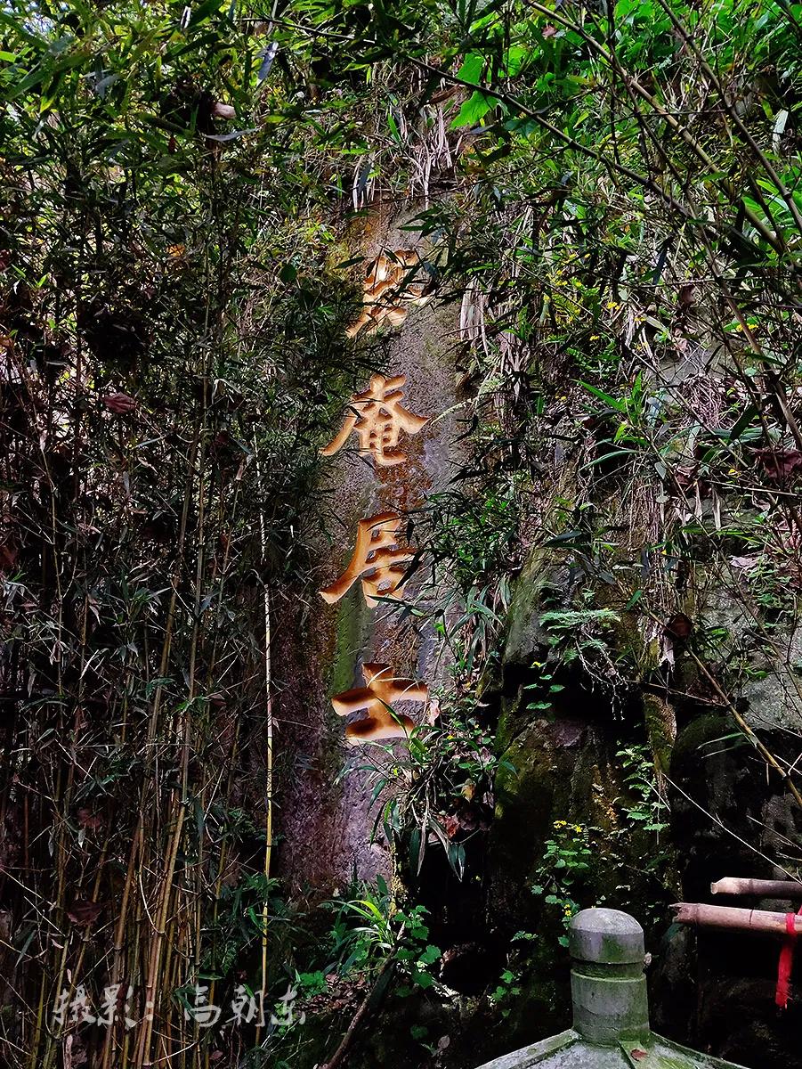 原创闲逛南山三毛故居,探秘重庆"三界名人"李奎安老宅,偶遇chali茶里