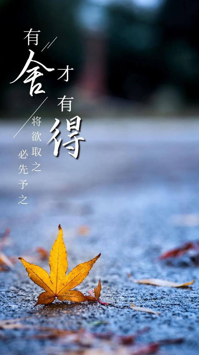 走过一段路,总能有一次领悟.多经历一些事,你才能看清一些人_人生