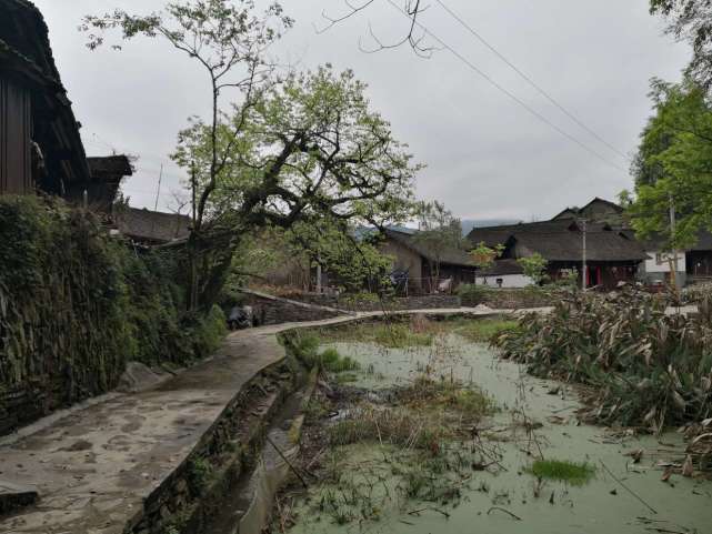 花垣县民乐镇梳子山村图片