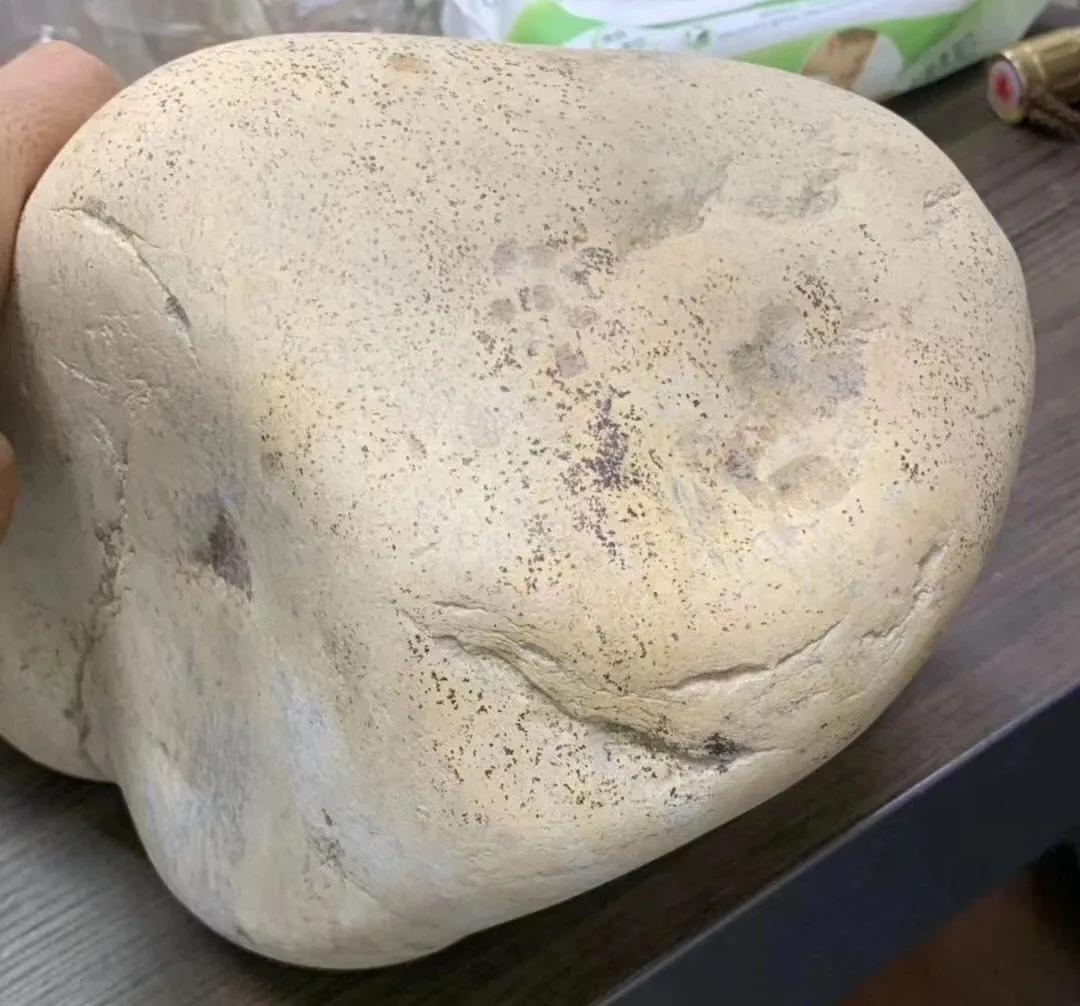 这块石包玉切火了但不是所有的石包玉都能有那么好的运气