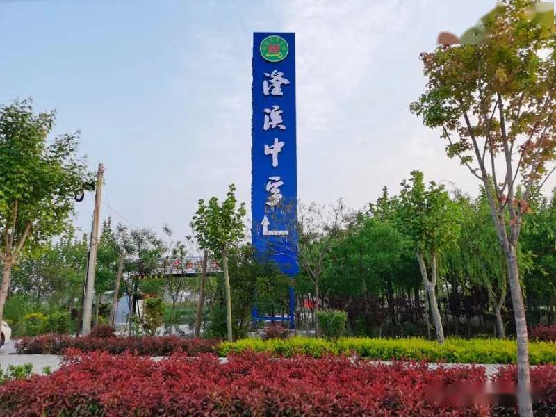 滏滨中学高三复课进行时