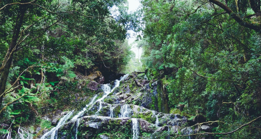 家电业直播带货潮涌，格力格兰仕美的海信长虹跨界探路-家电圈官网